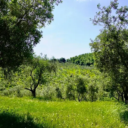 Podere Tiorcia *