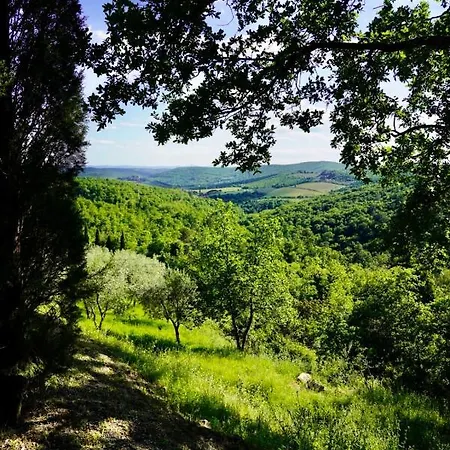 Podere Tiorcia Holiday home Gaiole in Chianti